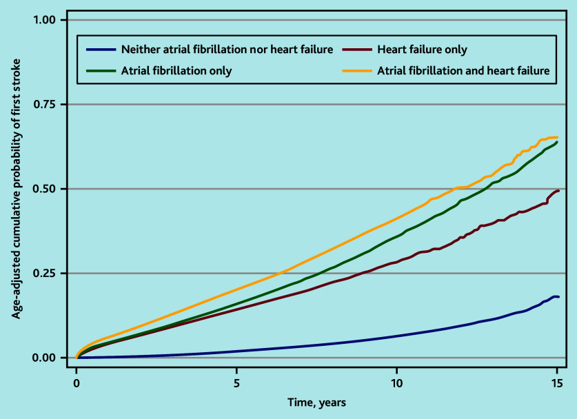 Stroke incidence in heart failure and atrial fibrillation: a population-based retrospective cohort study.