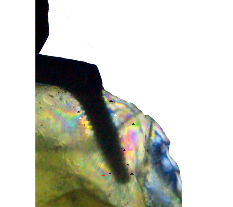 Abstract Image