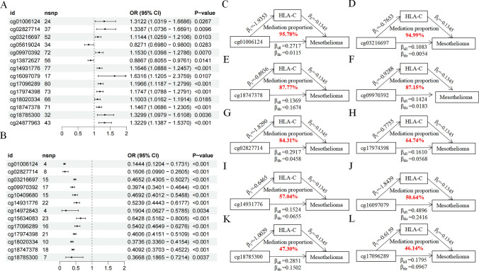 DNA methylation-regulated HLA-C expression modulates immune responses and metabolic alterations to influence prognosis in mesothelioma.
