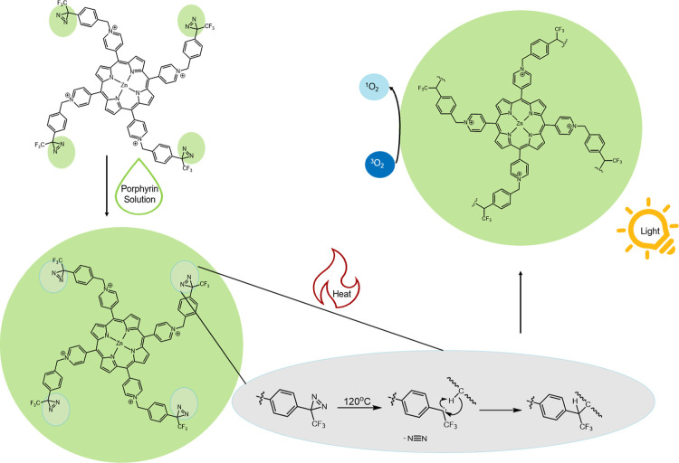 Photobleaching of Light-Activated Porphyrin-Functionalized Plastic Coupons for Potential Antimicrobial Applications.