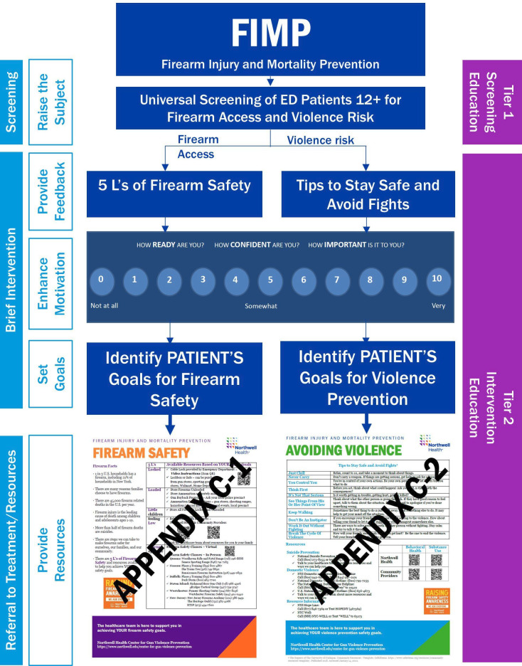 Development, dissemination and survey evaluation of layered education for healthcare professionals to support implementation of firearm injury and mortality prevention strategies in emergency care settings, New York, USA.
