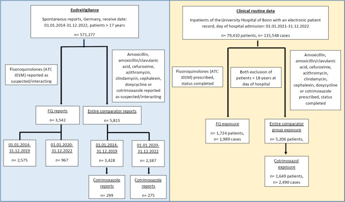 Analyses of Adverse Drug Reactions to Fluoroquinolones in Spontaneous Reports Before and After the Referral and in Clinical Routine Cases.