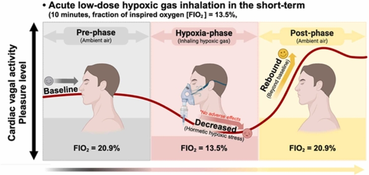 Enhanced cardiac vagal activity and mood after low-dose hypoxic gas inhalation in healthy young adults.