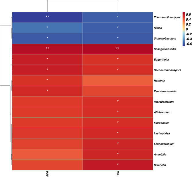 Effect of Lactiplantibacillus plantarum N-1 and isomaltose-oligosaccharide on promoting growth performance and modulating the gastrointestinal microbiota in newborn Hu sheep.