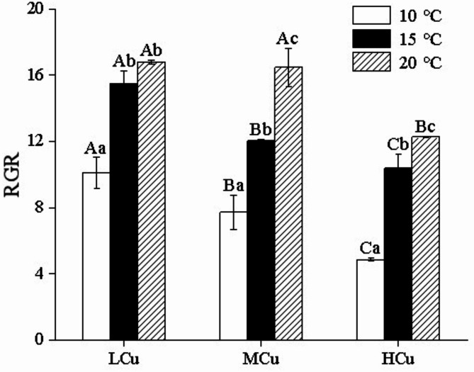 Effect of heavy metal copper on the physiological characteristics of Ulva lactuca at different temperatures.