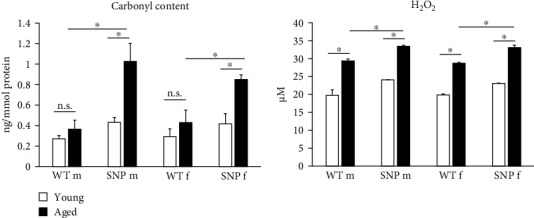 A Common <i>UDP-Glucuronosyltransferase</i> (<i>UGT</i>)<i>1A</i> Haplotype Is Associated With Accelerated Aging in Humanized Transgenic Mice.