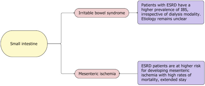 Gastrointestinal disease in end-stage renal disease.