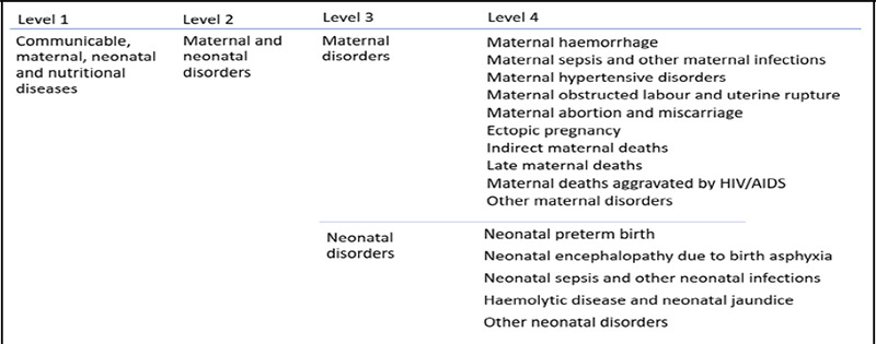 Burden of Maternal and Neonatal Disorser in Nepal from 1990 to 2019; Analysis of Data from Global Burden of Disease Study: An Observational Study.