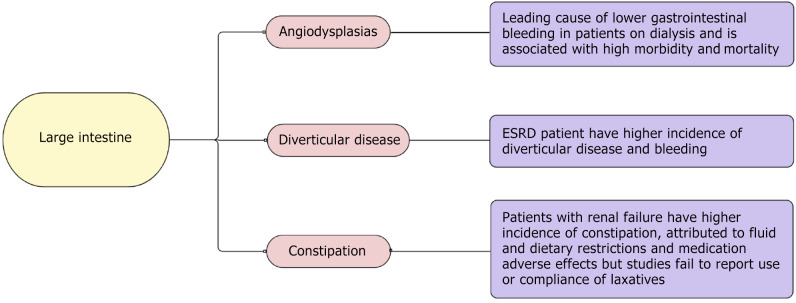 Gastrointestinal disease in end-stage renal disease.