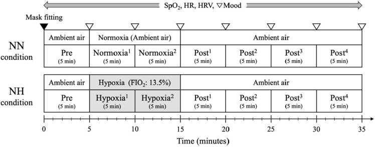 Enhanced cardiac vagal activity and mood after low-dose hypoxic gas inhalation in healthy young adults.