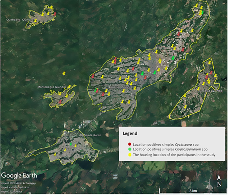 Molecular confirmation of Cryptosporidium and Cyclospora species in children with acute diarrhoea in Quindio region, Colombia.
