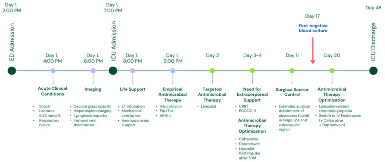 Effective Management of a Skin and Soft Tissue Infection Caused by Community-Acquired MRSA Through Triple-Targeted Therapy Along with Aggressive Source Control: A Case Report.