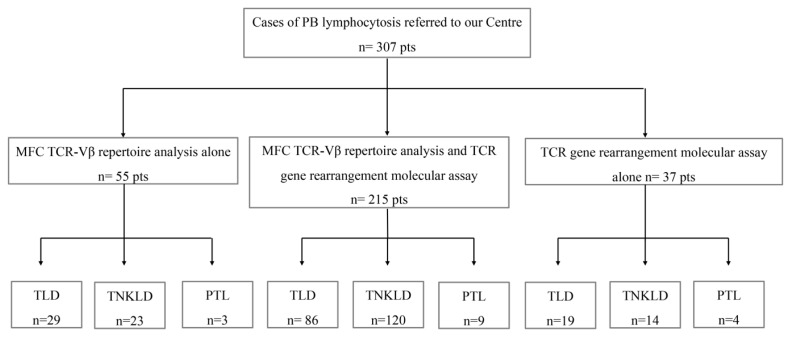 T-cell Receptor (TCR)-Vβ Repertoire Flow Cytometry for T-cell Lymphoproliferative Disorder: a Retrospective Analysis of a Single-Center Real-Life Laboratory Experience.