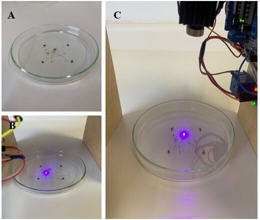 Assessment of the potential of a laser-based device as a Rhipicephalus microplus motility inhibitor.