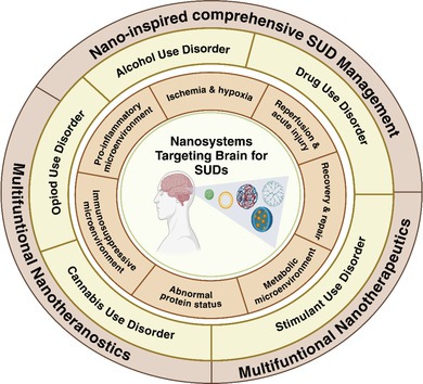 Role of Nanomedicine in Transforming Pharmacotherapy for Substance Use Disorder (SUD).