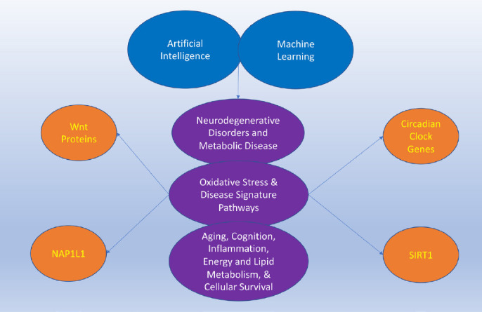 Biological gases, oxidative stress, artificial intelligence, and machine learning for neurodegeneration and metabolic disorders.