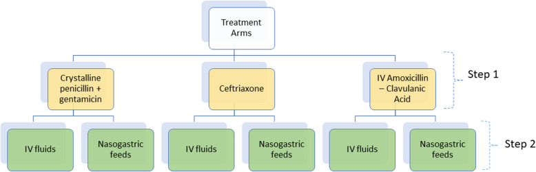Pilot implementation of short message service for randomisation in a multisite pragmatic factorial clinical trial in Kenya.