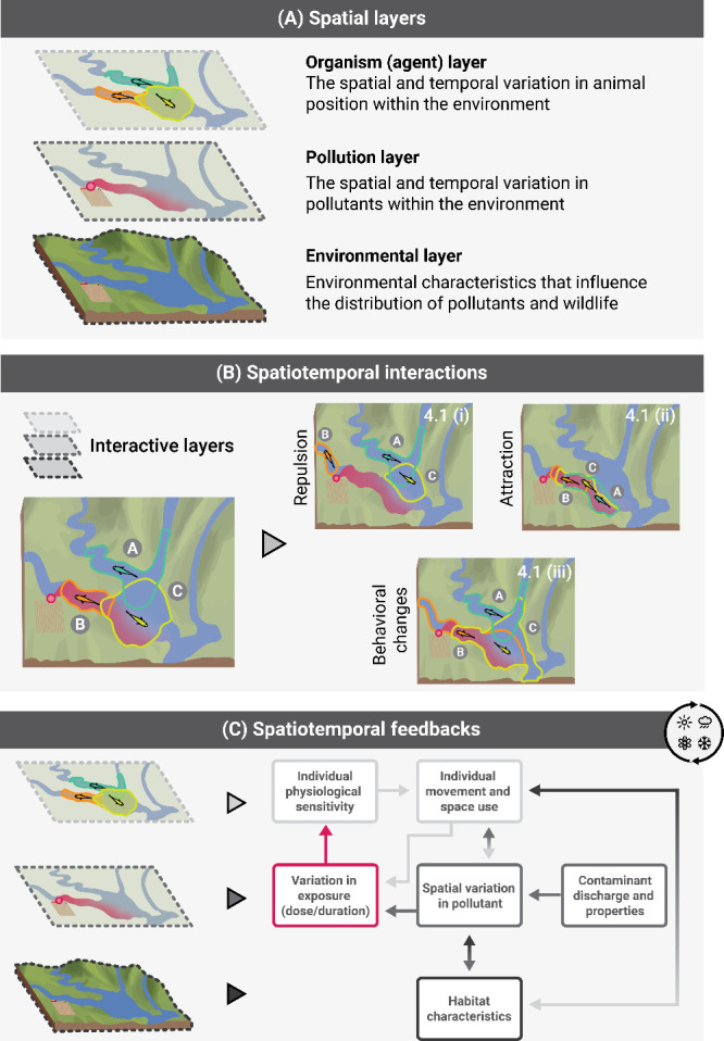 Advancing the Spatiotemporal Dimension of Wildlife-Pollution Interactions.