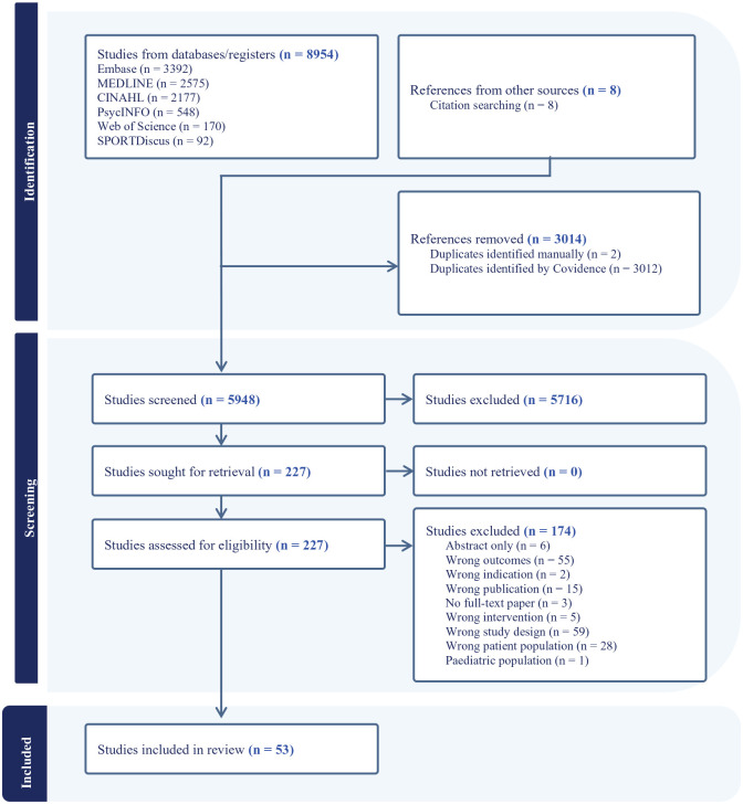 Designing Gender-Responsive Health Promotion Programs for Men: A Scoping Review.