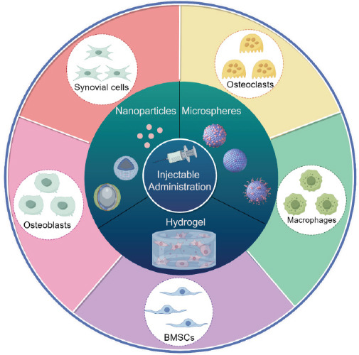 Advances in injectable drug delivery systems for the treatment of rheumatoid arthritis.