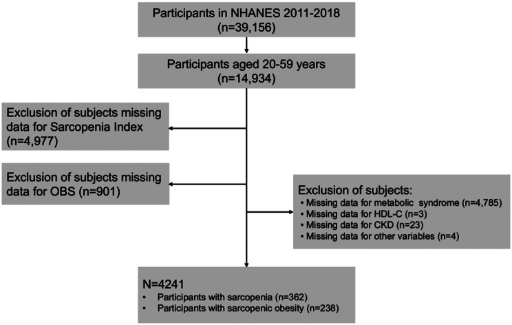 Oxidative balance score is associated with increased risk of sarcopenia and sarcopenic obesity in non-elderly adults: results from NHANES 2011-2018.