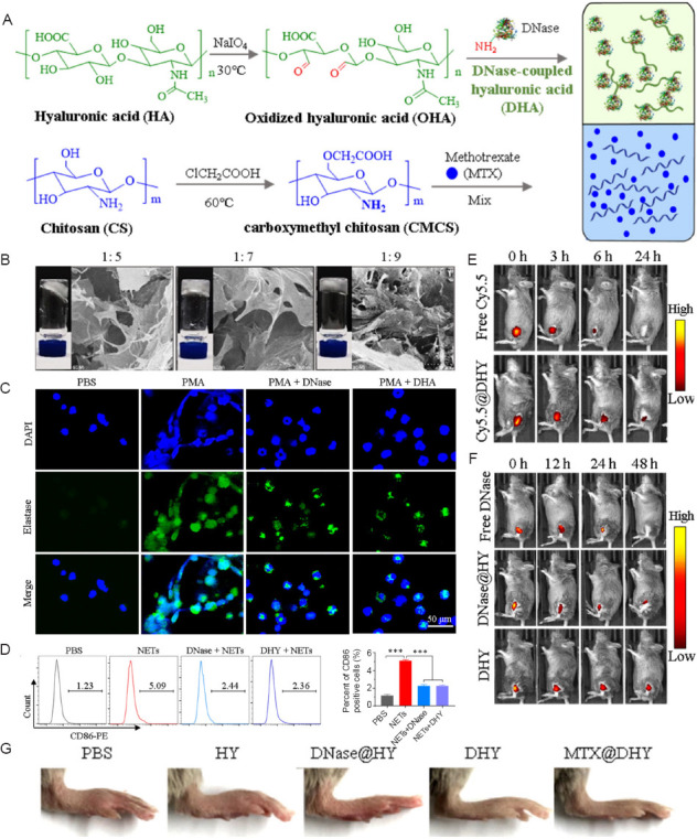 Advances in injectable drug delivery systems for the treatment of rheumatoid arthritis.