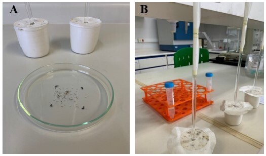 Assessment of the potential of a laser-based device as a Rhipicephalus microplus motility inhibitor.