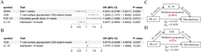 DNA methylation-regulated HLA-C expression modulates immune responses and metabolic alterations to influence prognosis in mesothelioma.