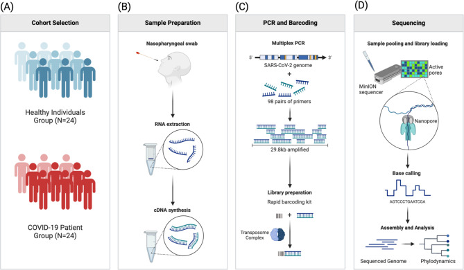 Comparative metagenomic analysis of the oral microbiome in COVID-19 patients and healthy individuals.