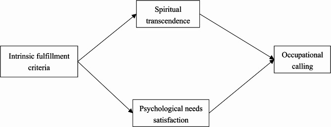 How do career success criteria shape occupational calling: a multi-wave investigation among undergraduates.