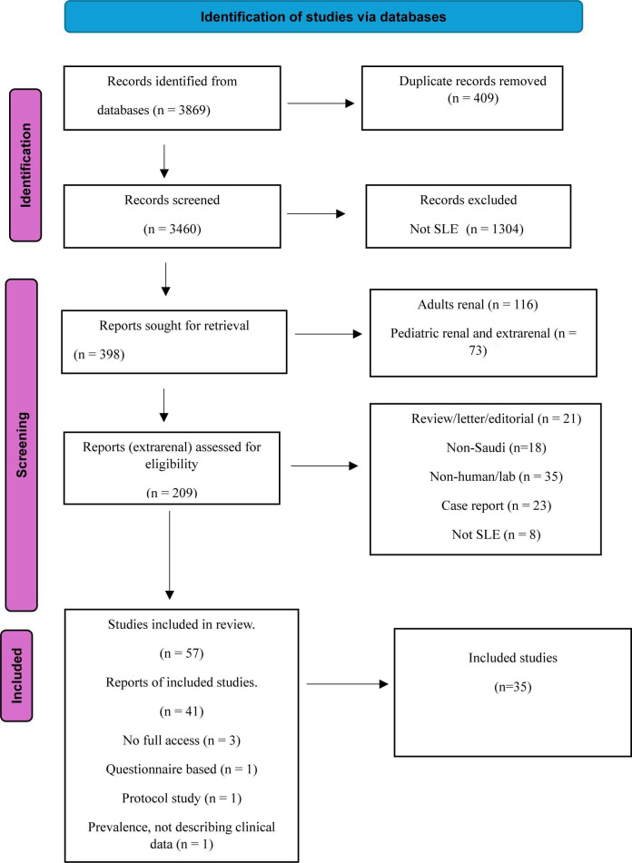 Systematic review of the reporting of extrarenal manifestations in observational studies of Saudi patients with systemic lupus erythematosus.