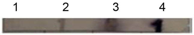 Pattern of sensitization to yellow jacket venom and expression of recombinant antigen 5 (Ves v 5) from yellow jacket venom.