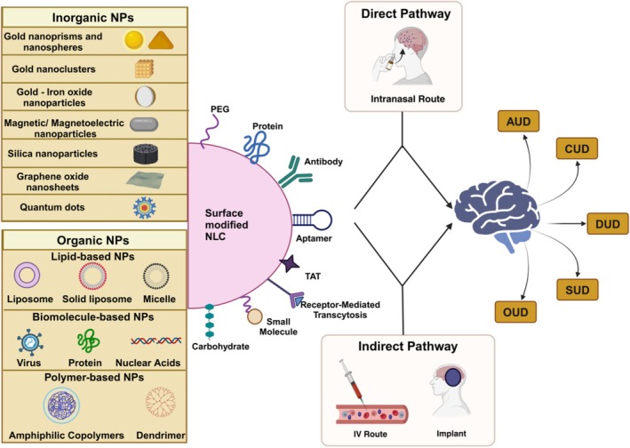 Role of Nanomedicine in Transforming Pharmacotherapy for Substance Use Disorder (SUD).