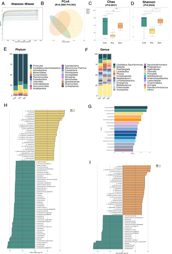 Effect of Lactiplantibacillus plantarum N-1 and isomaltose-oligosaccharide on promoting growth performance and modulating the gastrointestinal microbiota in newborn Hu sheep.