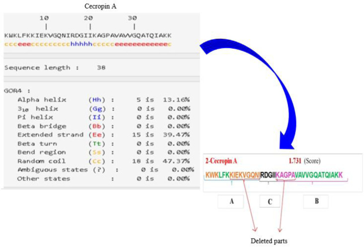 Designing of a novel chimeric antimicrobial peptide against <i>Acinetobacter baumannii</i> using three different bioinformatics methods and evaluation of its antimicrobial activity <i>in vitro</i>.