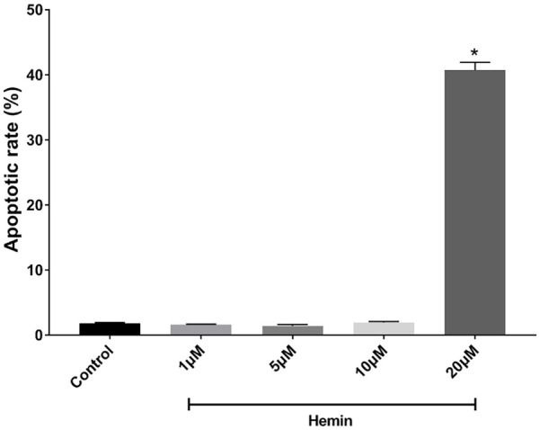 Hemin as a protective agent in an in vitro model of hypoxia/reoxygenation-induced injury.