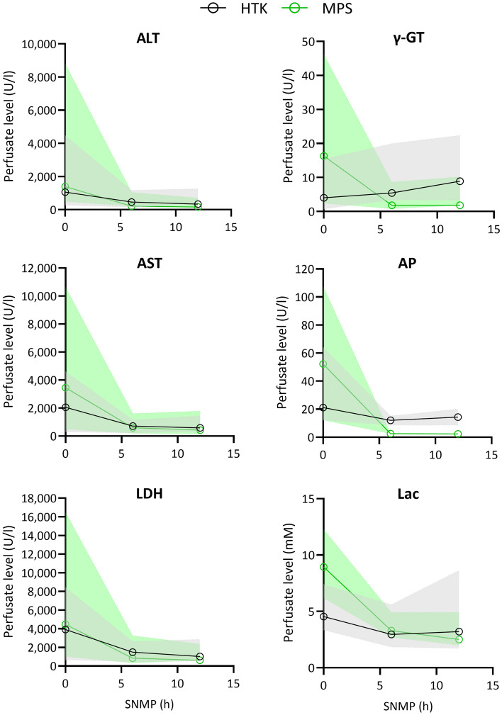 Equal performance of HTK-based and UW-based perfusion solutions in sub-normothermic liver machine perfusion.