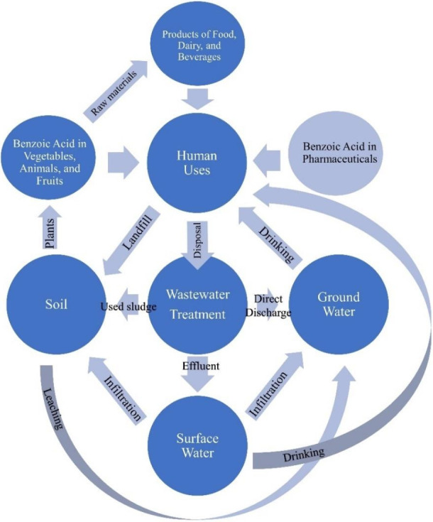 A critical review on the journey of benzoic acid in the pharmaceutical industry from manufacturing processes through various uses to disposal: An environmental perspective.