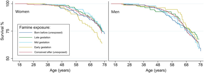 Women exposed to famine in early gestation have increased mortality up to age 76 years.