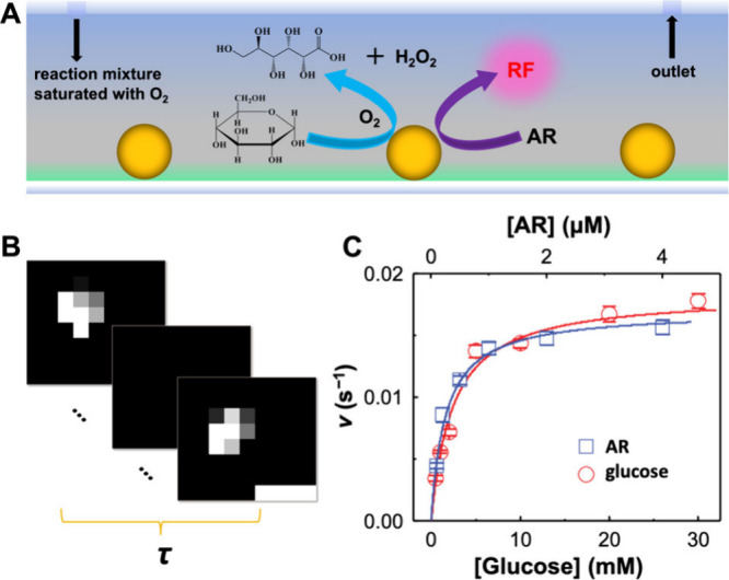 Fluorogenic Linkage Integration for Nonfluorescent Transformations (FLINT).