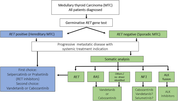 Overview of management and therapeutic advances in medullary thyroid cancer.