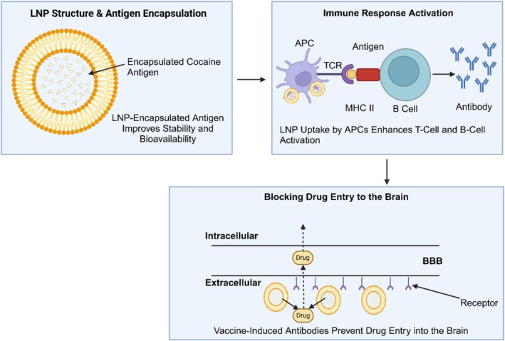 Role of Nanomedicine in Transforming Pharmacotherapy for Substance Use Disorder (SUD).