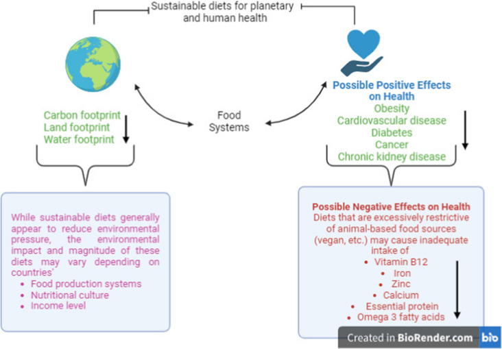 The Two Dimensions of Nutrition for the Planet: Environment and Health.