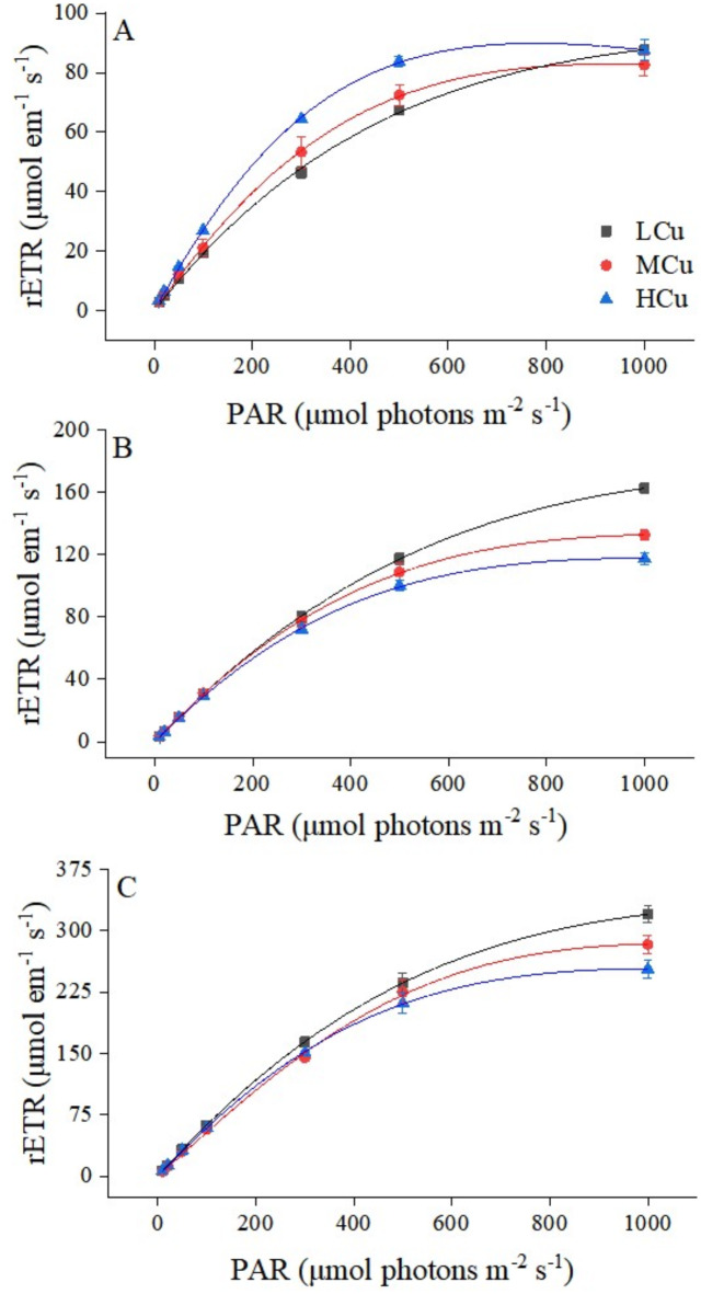 Effect of heavy metal copper on the physiological characteristics of Ulva lactuca at different temperatures.