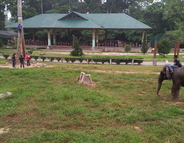 Threatening Sounds as an Alternative Mitigation Method to Deter Elephant: A Study in Elephant Conservation Centre, Kuala Gandah, Pahang, Malaysia.