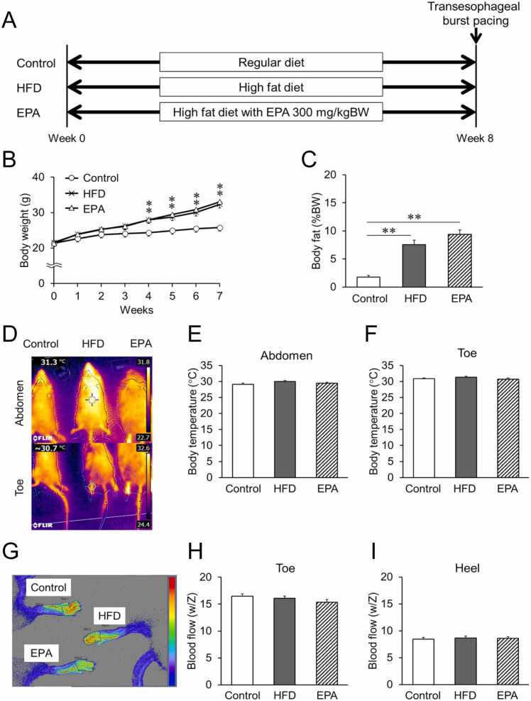 Eicosapentaenoic acid prevents atrial electrocardiographic impairments and atrial fibrillation in high fat diet mice.