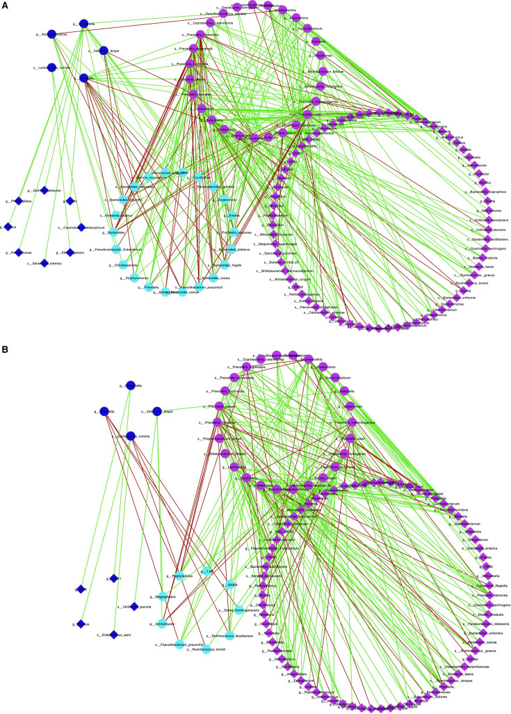 Resilience of human gut microbiomes in autism spectrum disorder: measured using stiffness network analysis.