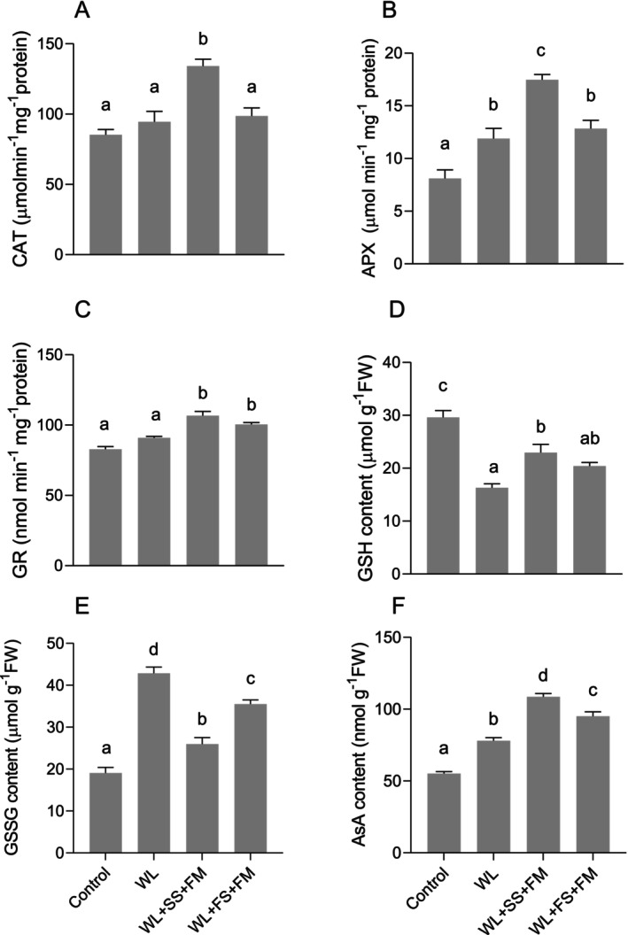 Combined Effect of Melatonin and Sulfur on Alleviating Waterlogging Stress in Rapeseed.