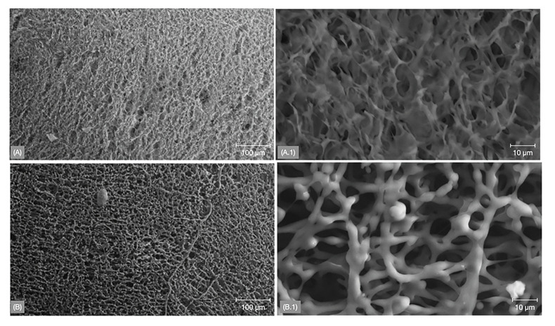 Socket preservation utilizing polymeric bioresorbable membranes: a preclinical model.