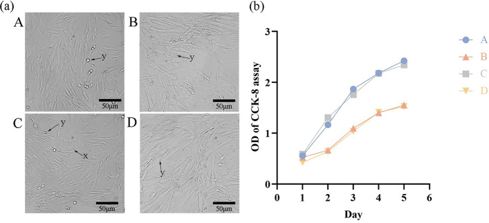 New considerations in selecting donors for dental pulp stem cells: a pilot study.